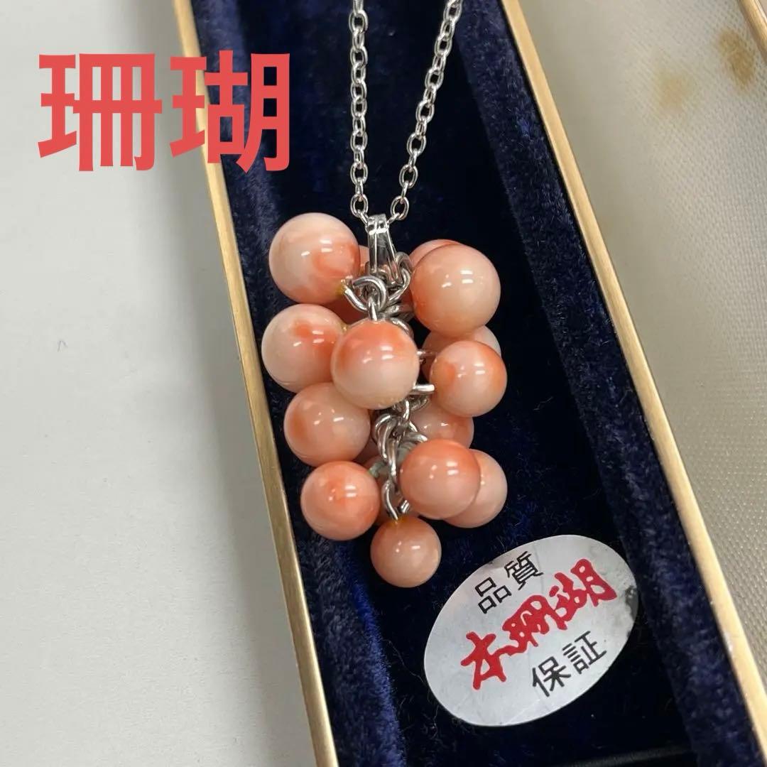 ☆正規☆本珊瑚 ネックレス サンゴネックレス 桃色珊瑚 - メルカリ