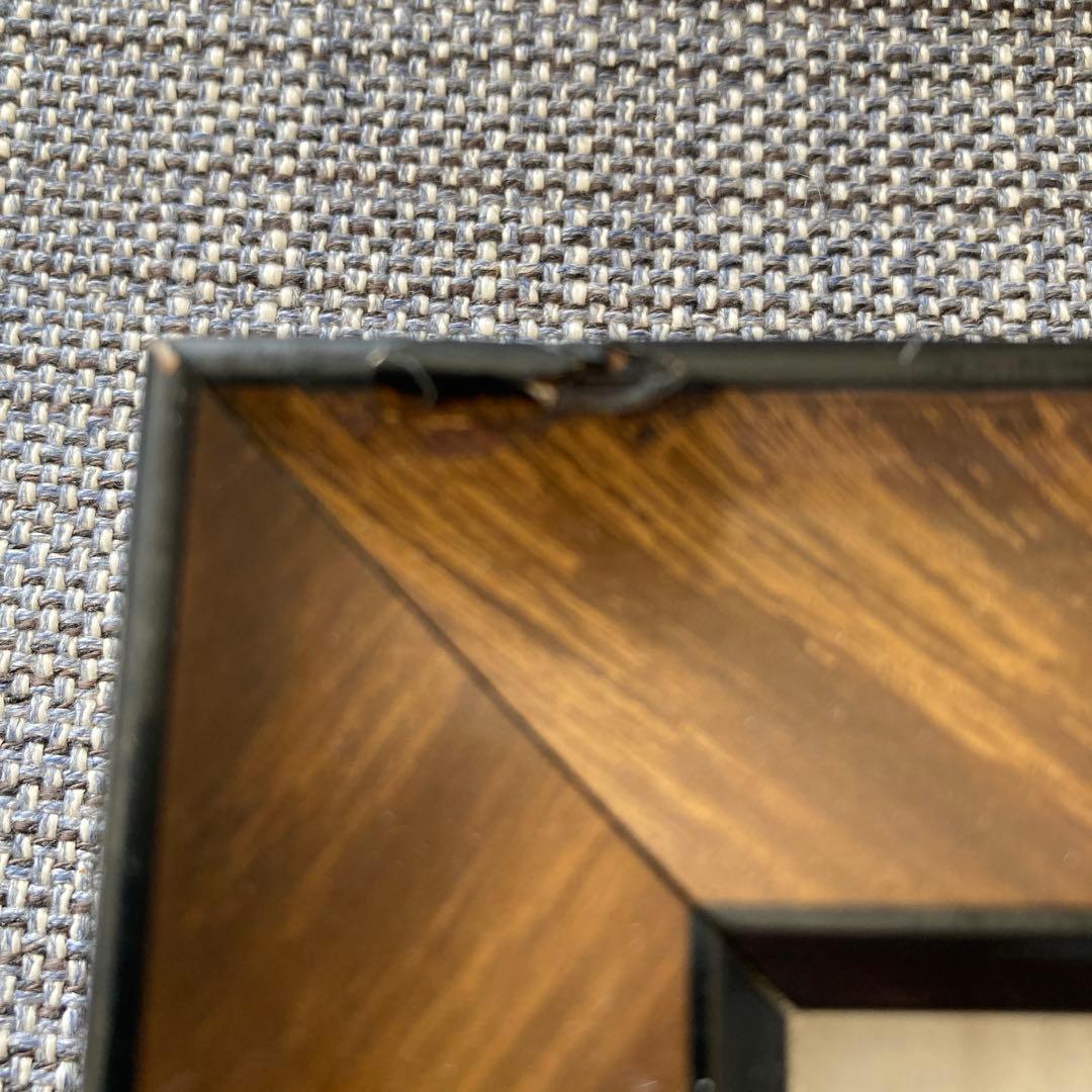 アコヤ貝 真珠 パール 貝 養殖 標本 cultured pearl フレーム… - メルカリ