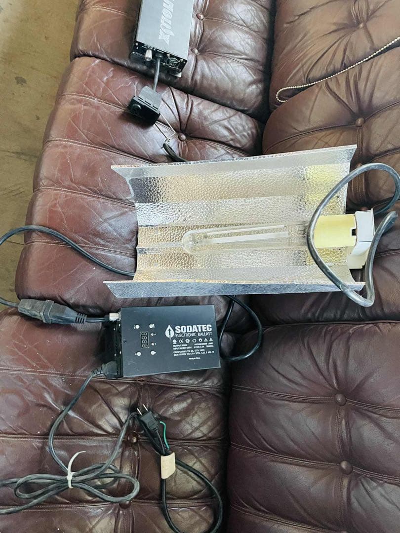 ライト、コンセント付きSODATEC 水草用ライトセット 楽天市場】水耕栽培 植物育成灯 ソダテック LED NEO 650W Sodateck