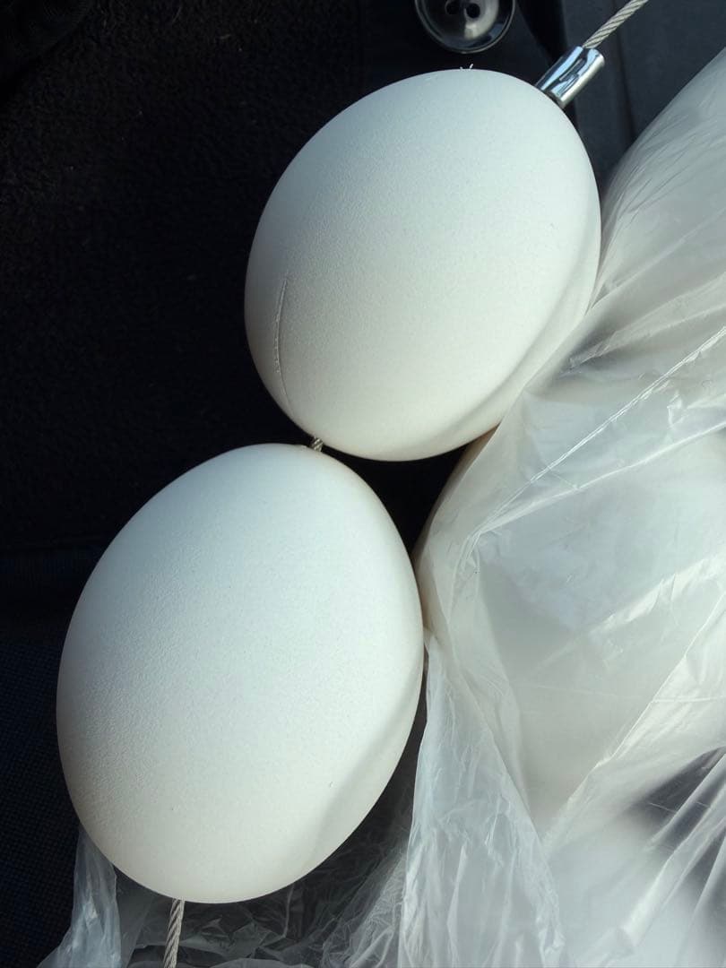 万博 アースマート　Earthmart 一生分のたまご　吊りたまご　小山薫堂