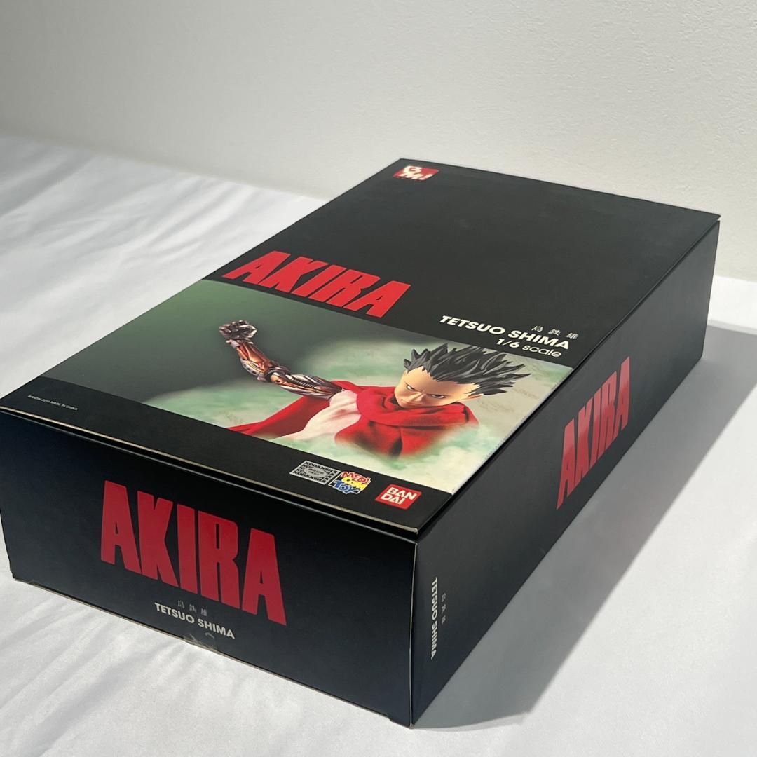 PBM! 島鉄雄 「AKIRA」 PROJECT BM! No.40 AKIRA Shima Tetsuo Medicom