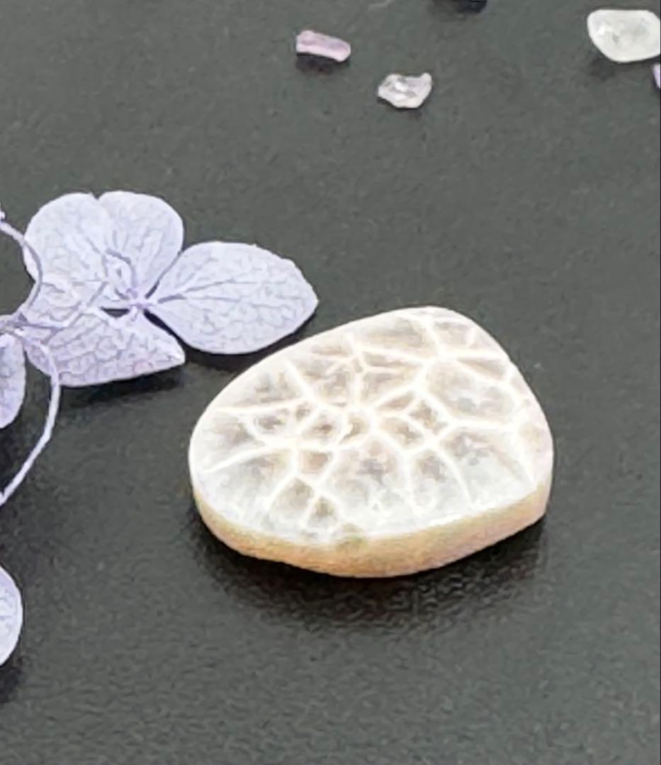 中国古美術【猪尊】西周青銅器 盛酒器 礼器 骨董 純銅製 古美味 時代物