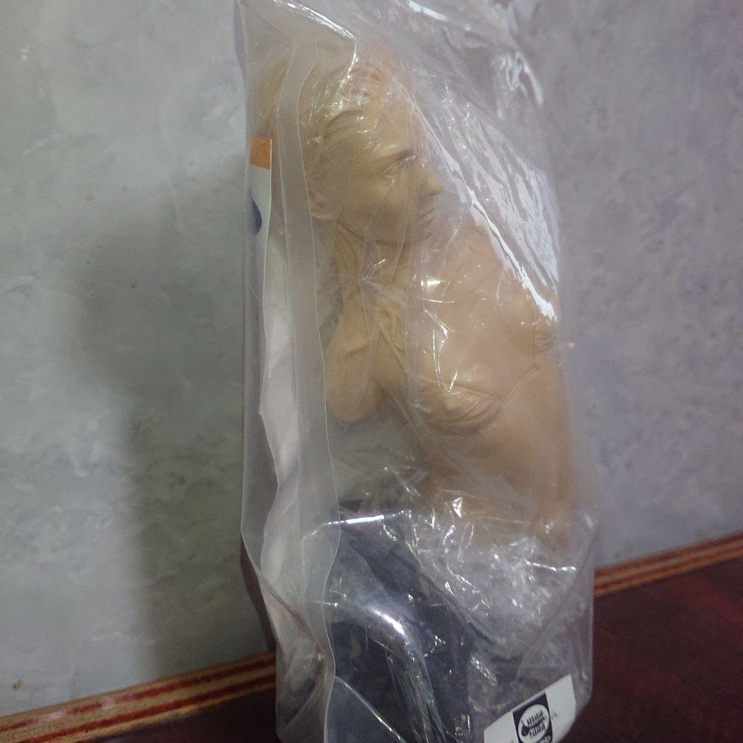 ケサランパサラン/ゾンゲリアン/未塗装キット