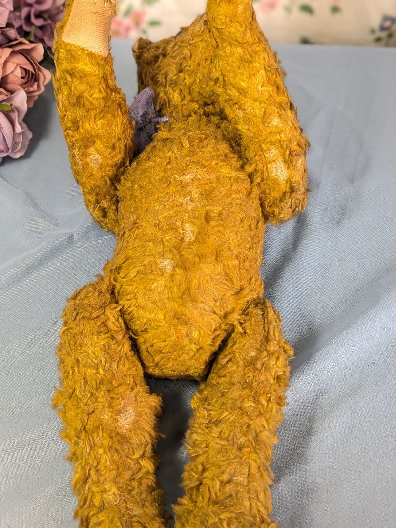 イギリス アンティーク テディベア アンティークベア 35.5cm