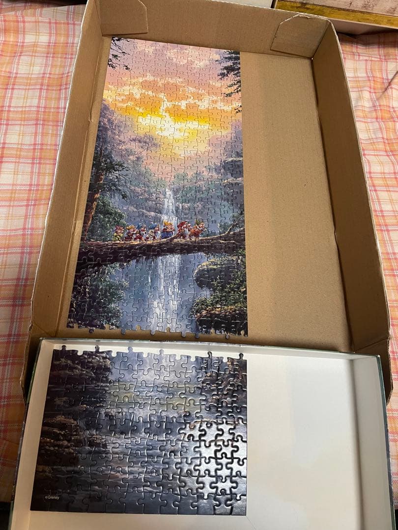 ディズニー ザ ジャーニーホーム ロデルゴンザレス 456p パノラマ