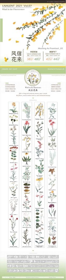 4巻セット】ビンテージレトロガール 少女 花 lnalent