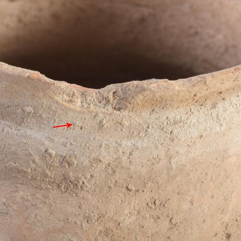 弥生土器　土器　双耳壺　C　8346