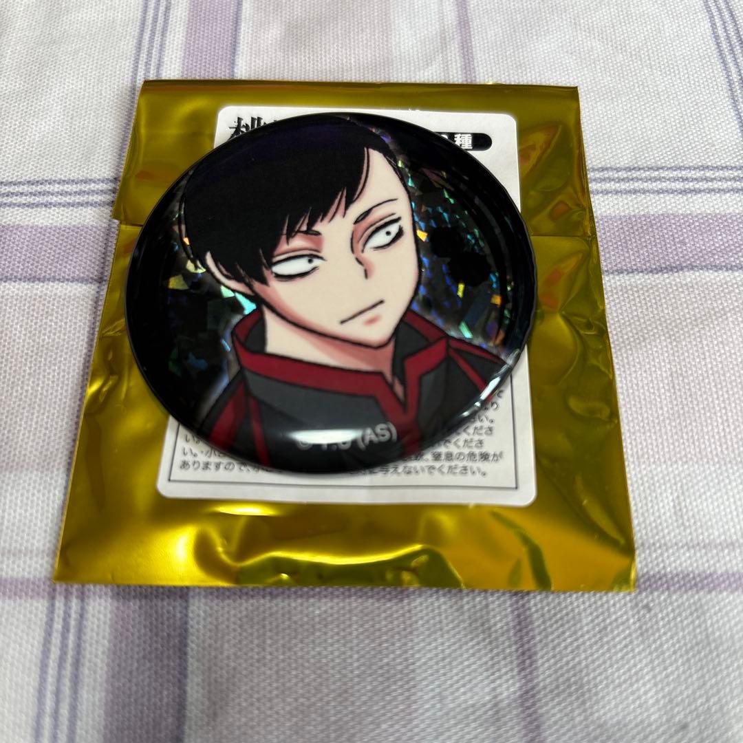 桃源暗鬼 漫画展 並木度馨 ホログラム缶バッジ 10点セット - メルカリ