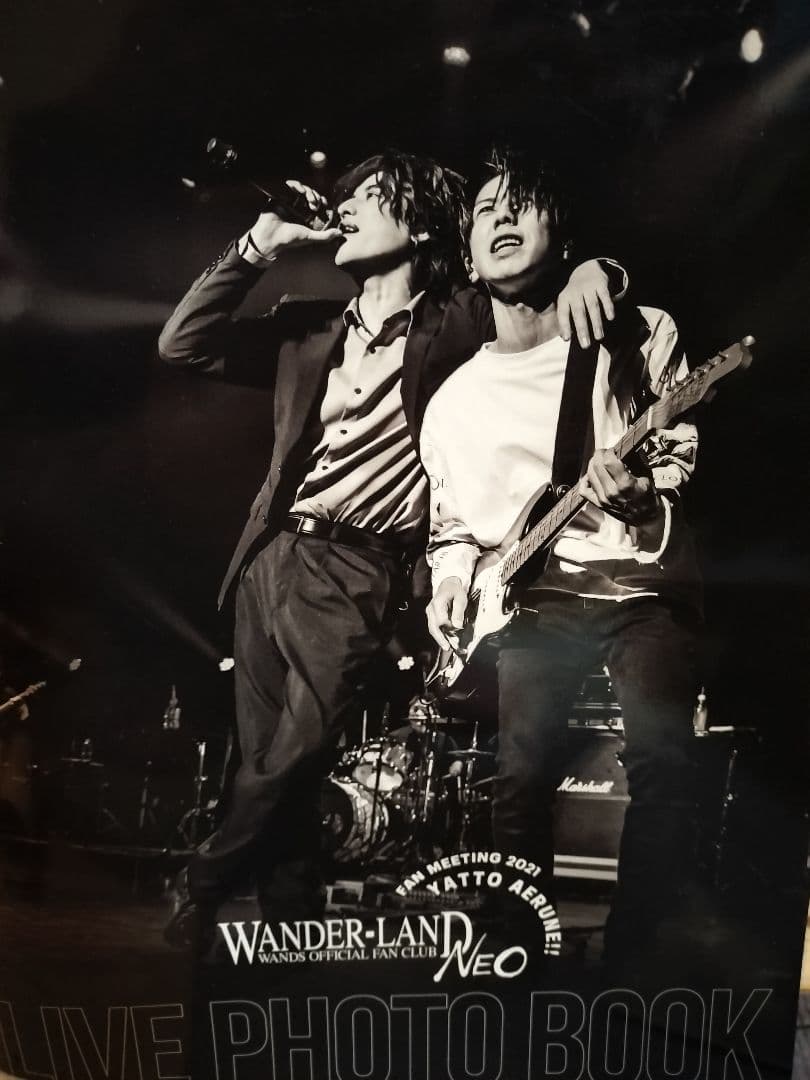 WANDS WANDER-LAND NEO LIVE PHOTO BOOK - メルカリ