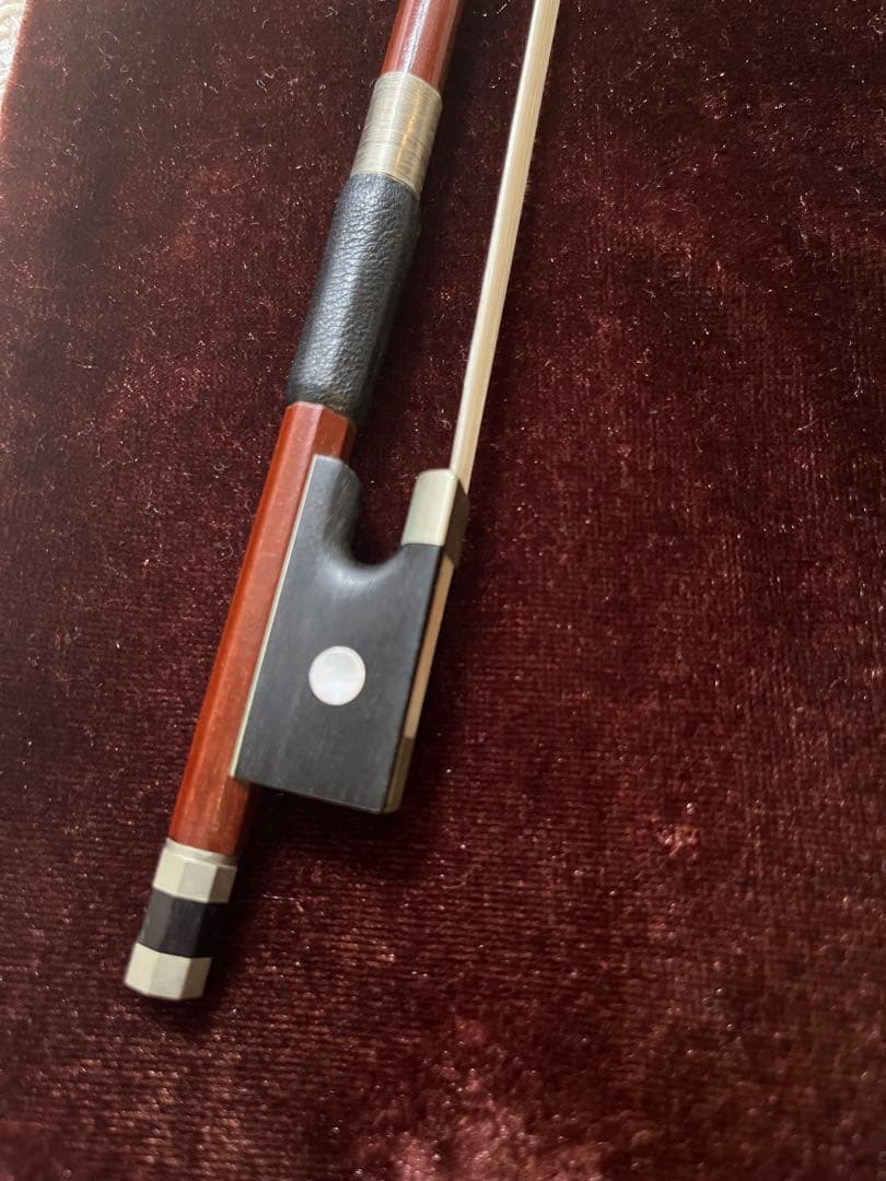 カルロジョルダーノVS1 バイオリン1/10 （ケース、肩当て、松脂付き）