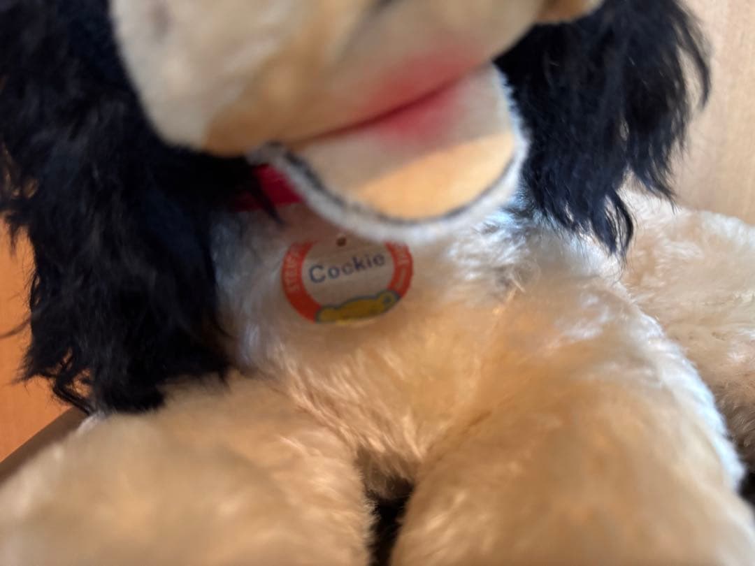 ジョムレ★プロフ読んでくださいです！