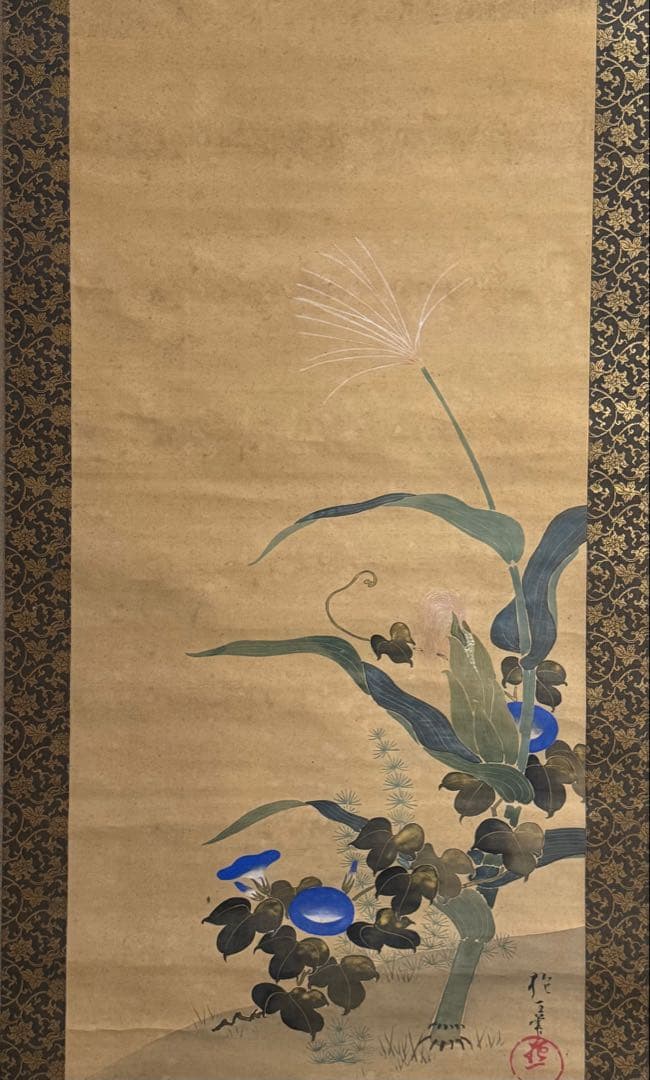 酒井抱一筆 絹本肉筆 朝顔 沒骨法 掛軸 送料込み250824 - メルカリ