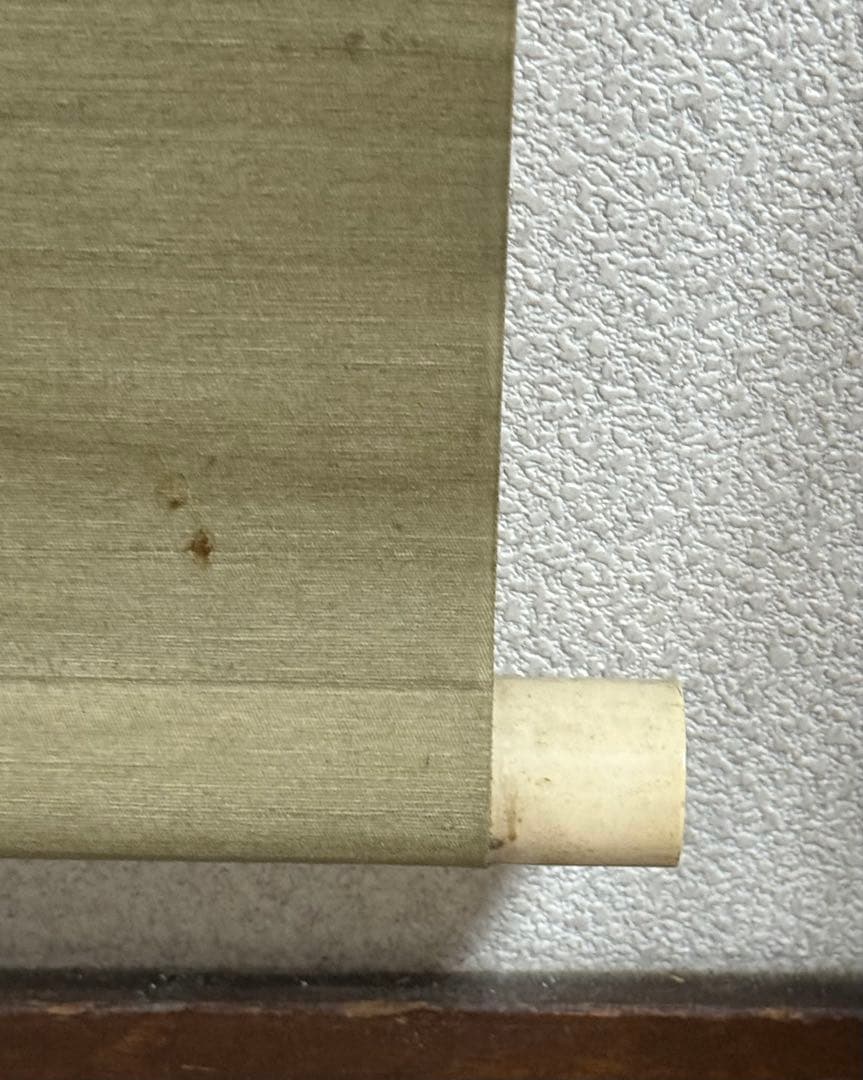 酒井抱一筆 絹本肉筆 朝顔 沒骨法 掛軸 送料込み250824 - メルカリ