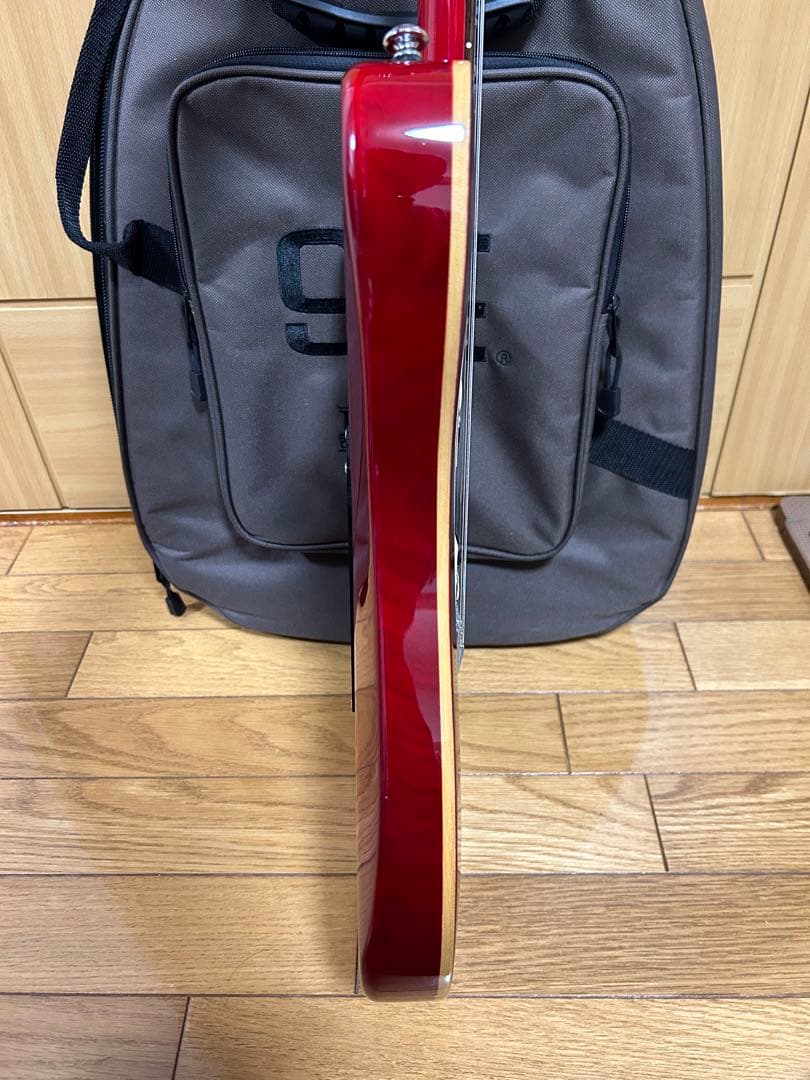 PLS（ポールリードスミス）SE CUSTOM 24 レッド