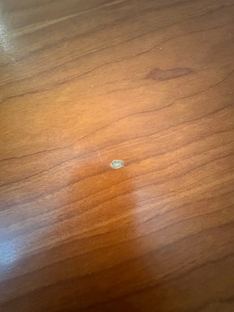 TECTA テクタ M21 テーブル