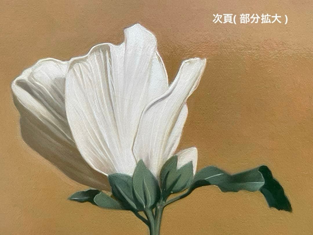 絵画　ムクゲ（ 木槿 ）　油彩画　Kouji 1994