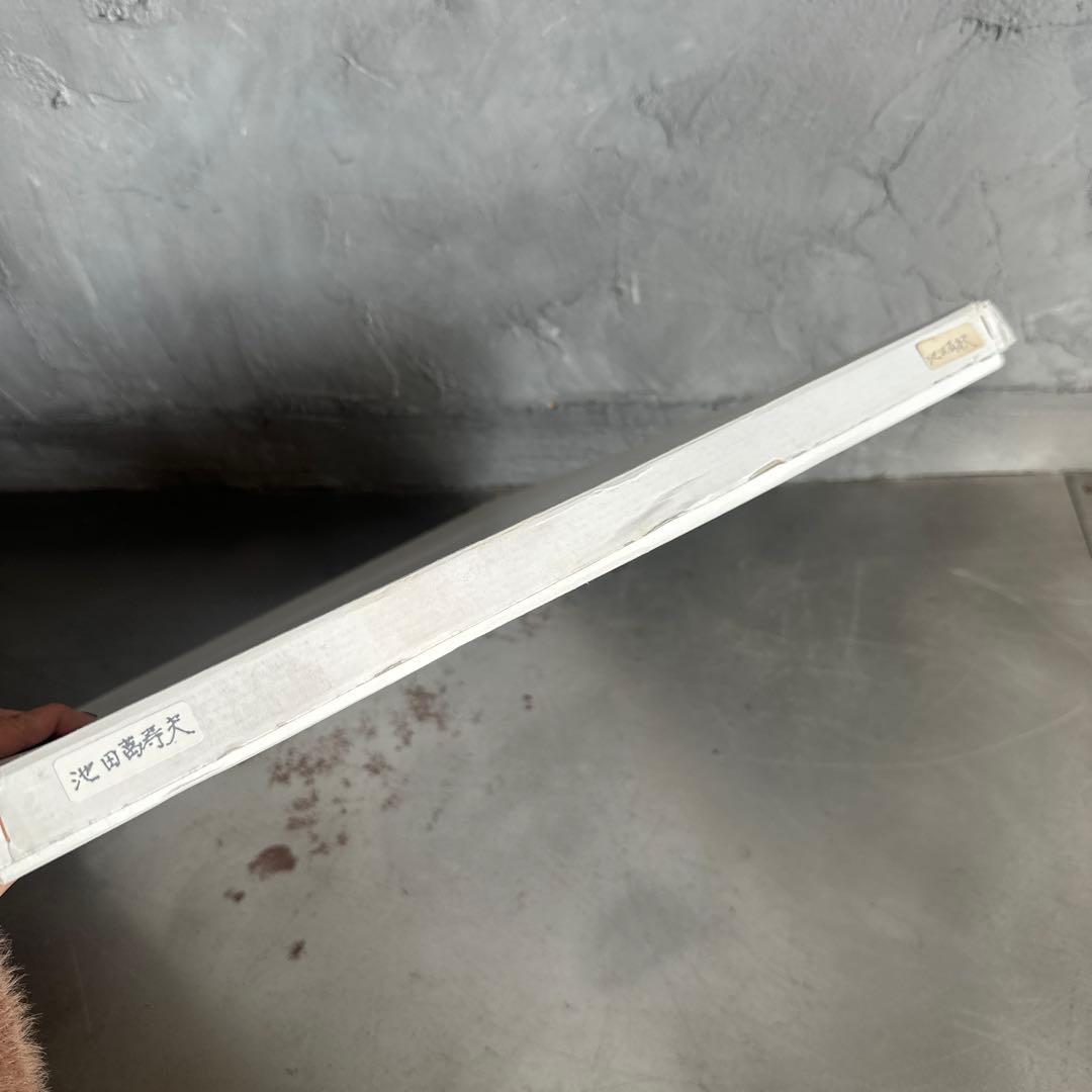 瞬間的お値下げ‼️池田満寿夫　リトグラフ　海と女性 黒フレーム