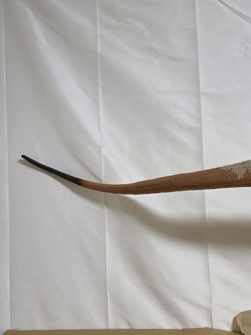 海外限定　マテル　ディプロドクス　ハモンドコレクション 恐竜