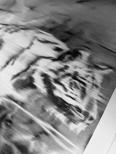 額装済/Tiger 1965/ゲルハルトリヒター/限定500枚/証明書/ポスター