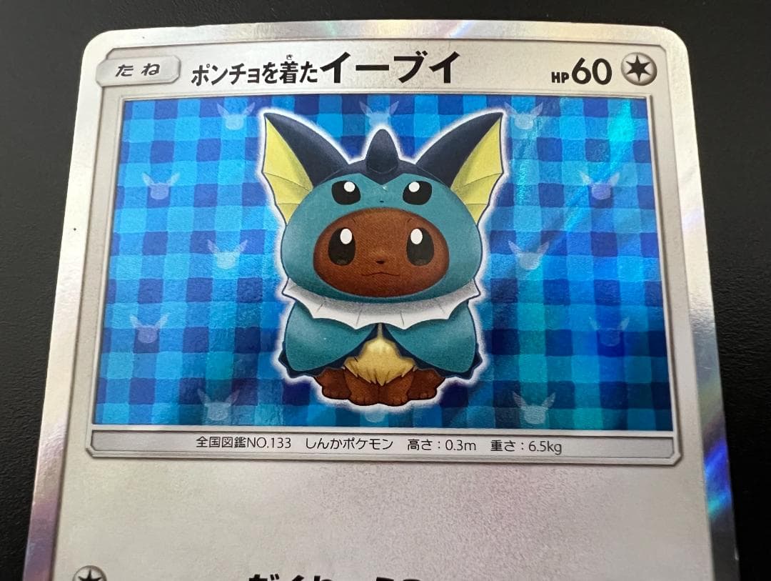 ポンチョを着たイーブイ シャワーズ プロモ