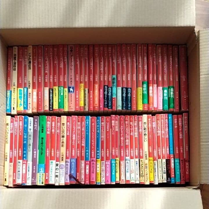 片岡義男 小説 文庫本まとめ売り74冊セット オール初版 - メルカリ
