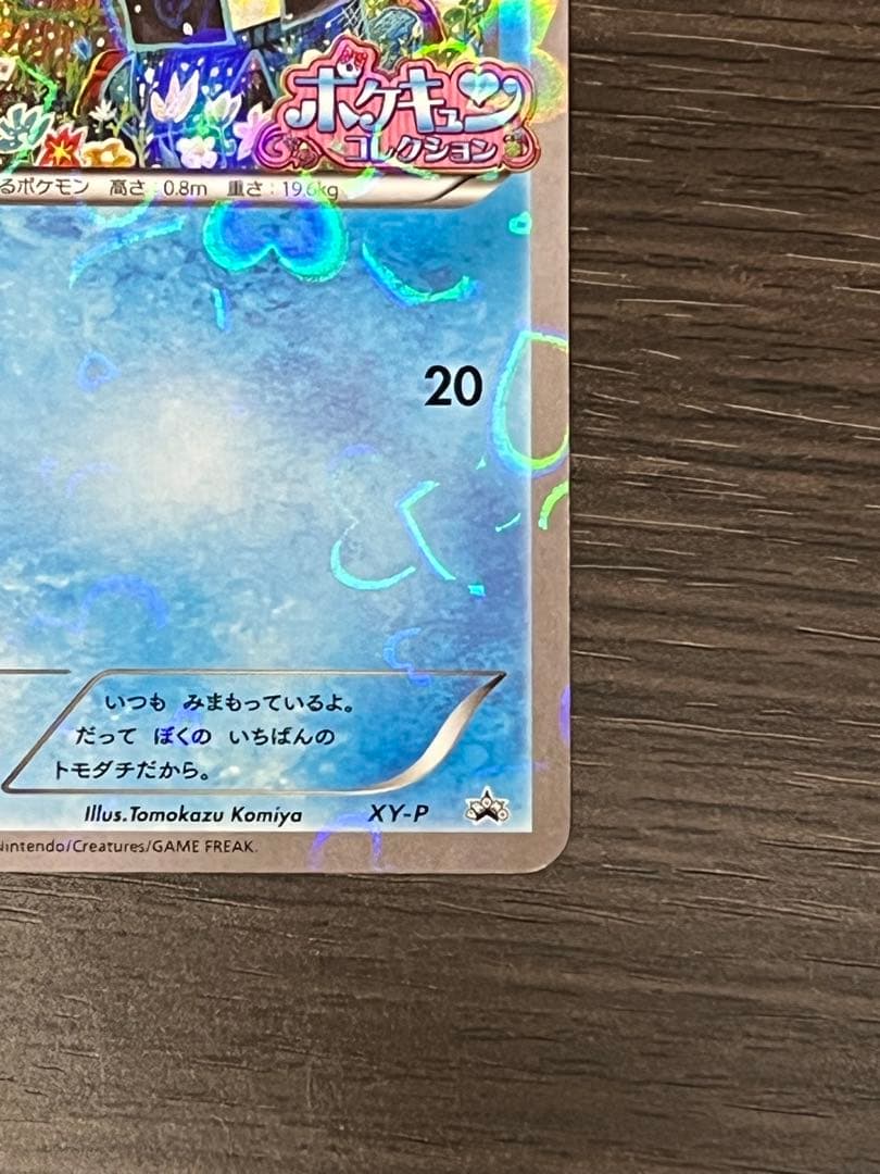 XY-P コダック_ポケキュンコレクション キャンペーン　増田順一 コラボ P…
