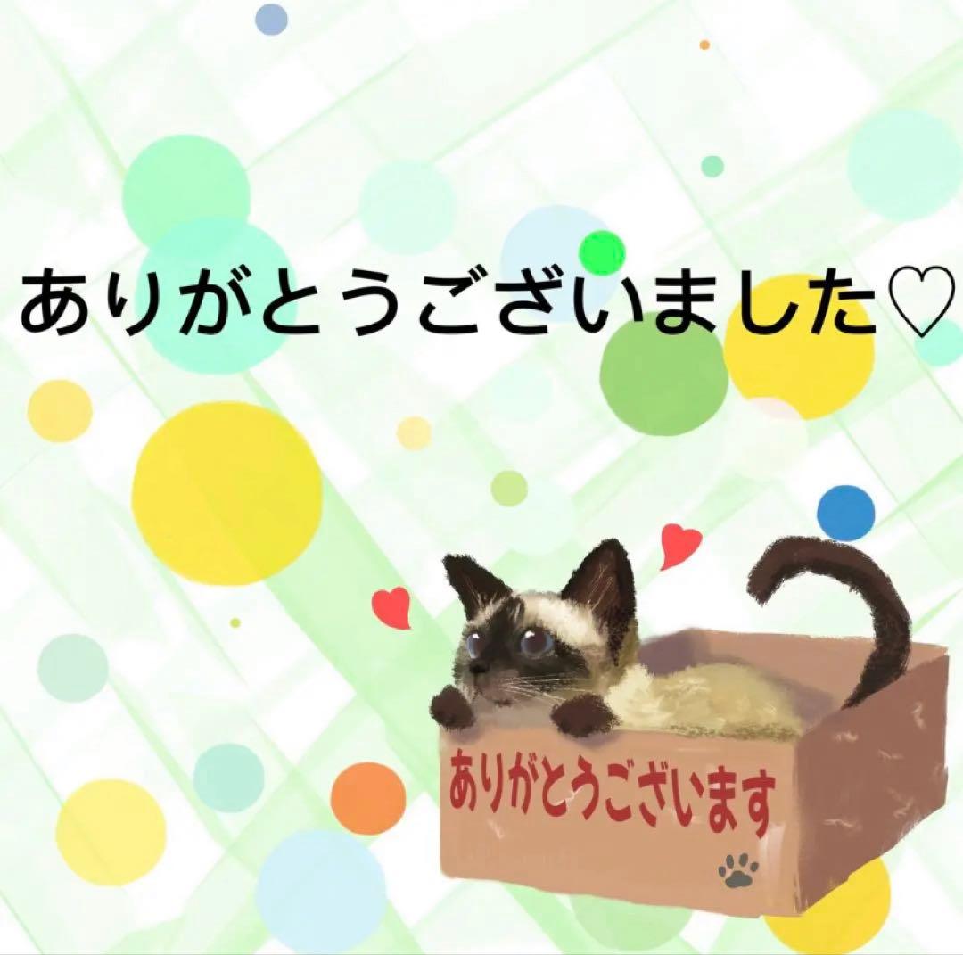 9397】海外 マステ 3/5/巻 PETマスキングテープ 猫 動物系 - メルカリ