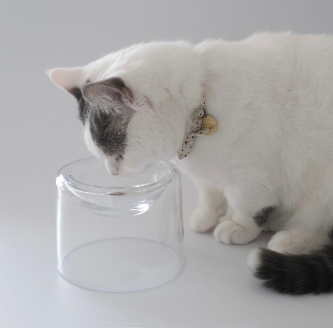 tofmofu トフモフ グラスフードボウル ペット 食器 ガラス フード皿 猫 tofmofu_ • Instagram photos and videos