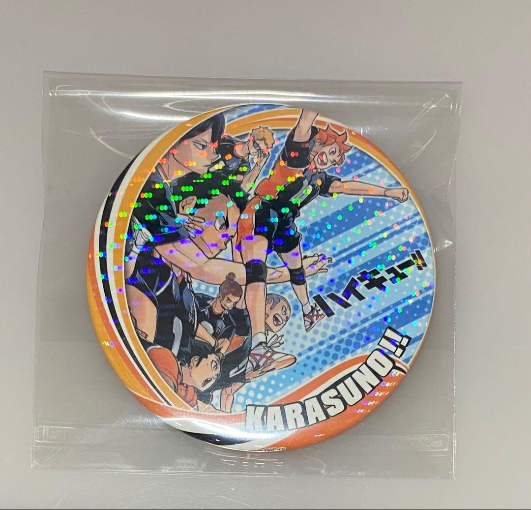 ハイキュー‼︎ コレクション缶バッジ 第6弾 烏野高校 レア