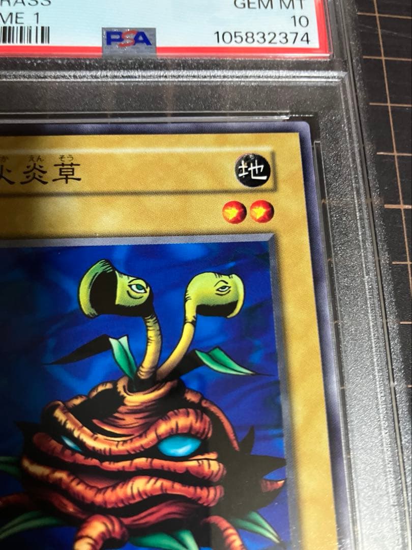 火炎草 PSA10 遊戯王 初期 Vol.1 Firegrass