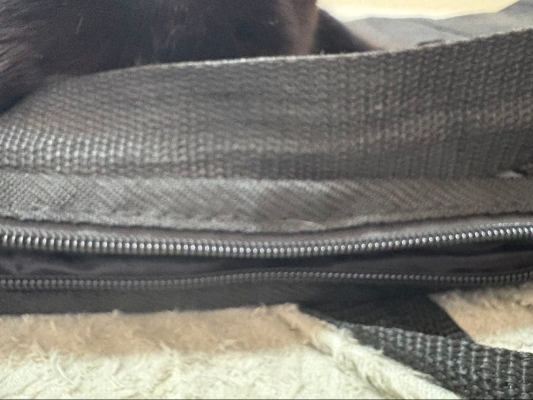 【希少】Epiphone SG G-310 Emily the Strange