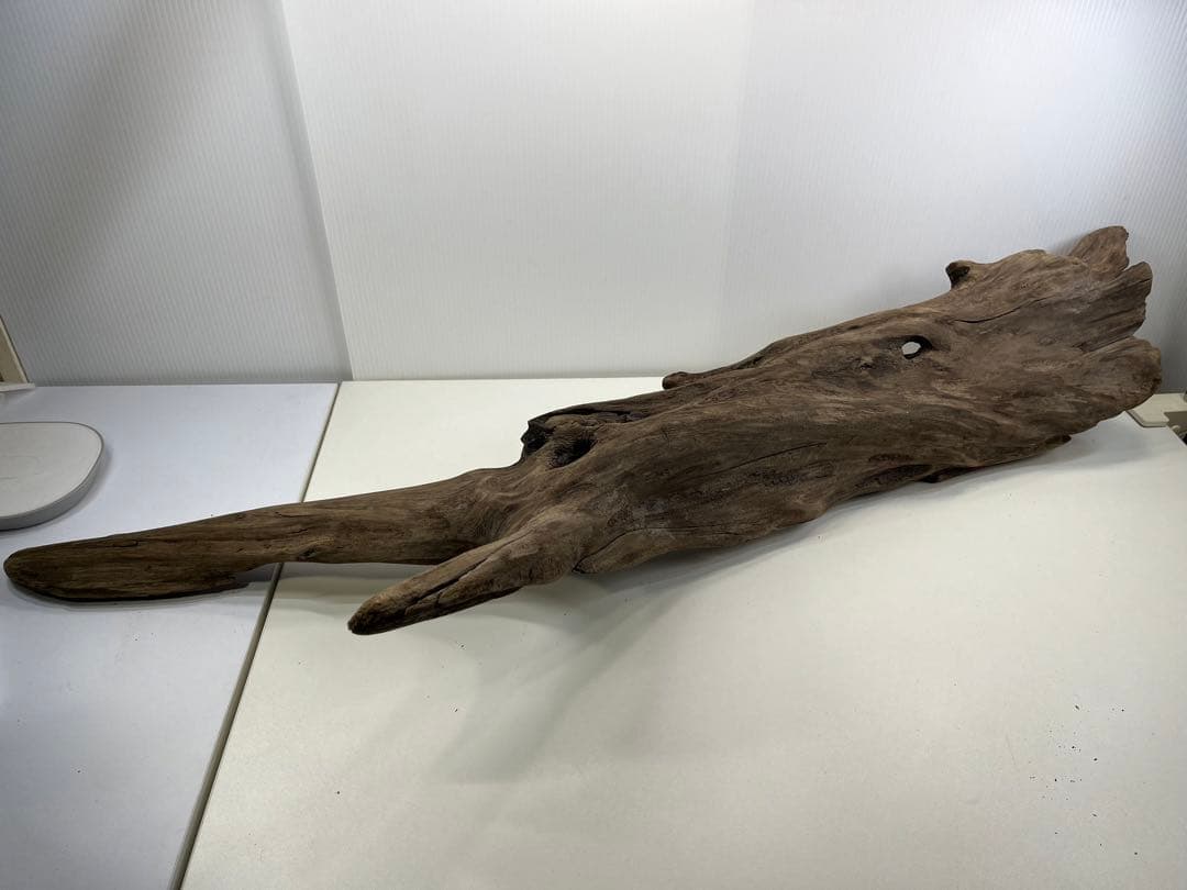 R63アク抜き済み流木 爬虫類シェルター 登り木 インテリア 生け花