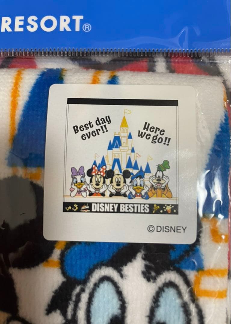【購入前コメント必須】ディズニーリゾート☆ベスティーズ☆タオルセット