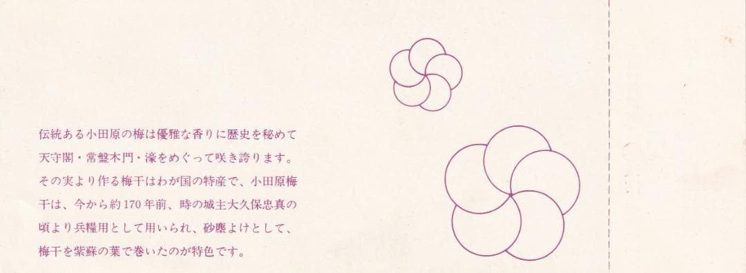 1975小田急線小田原梅まつり記念乗車券