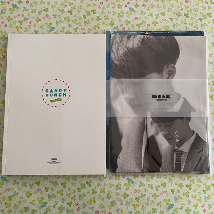 EXO D.O. ディオ　ギョンス　マスター　作成　写真集　グッズ　色々セット