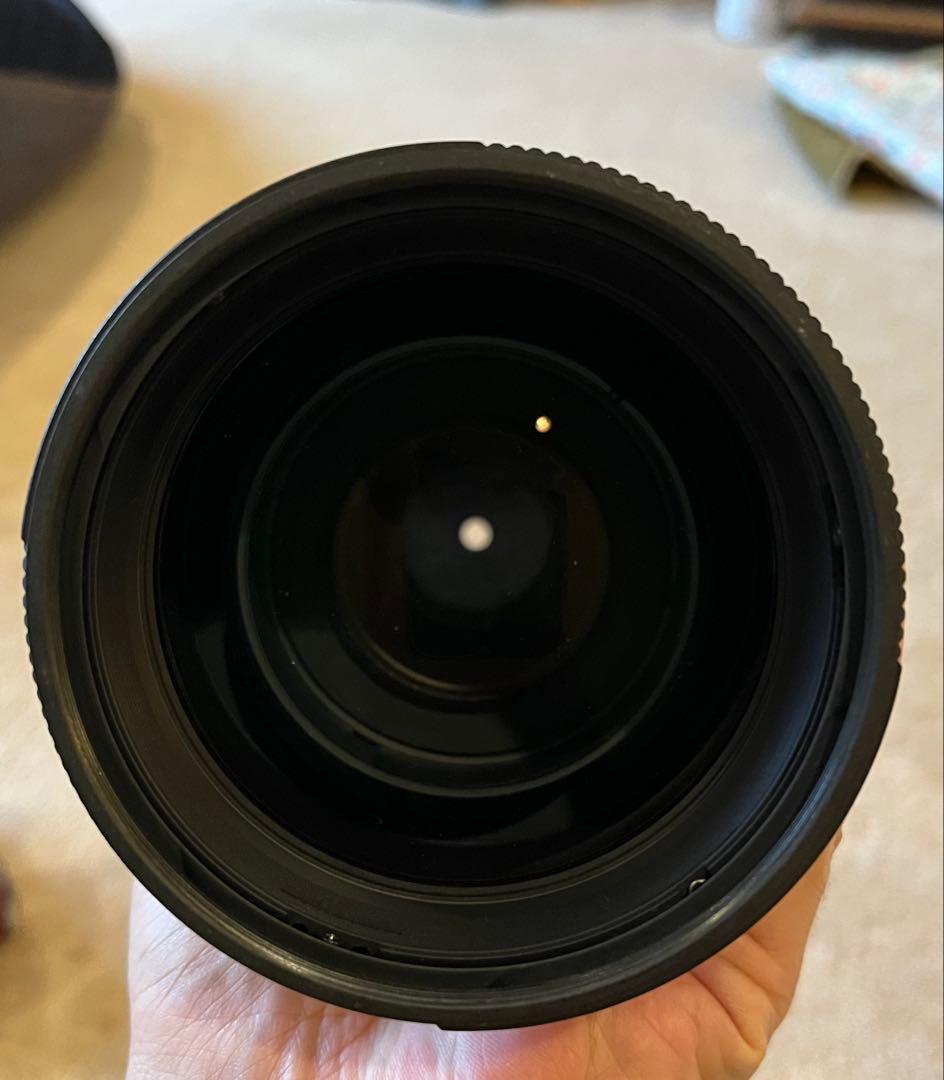タ*コ様 Tamron 200-500mm f/5-6.3 Di LD超望遠　ニ