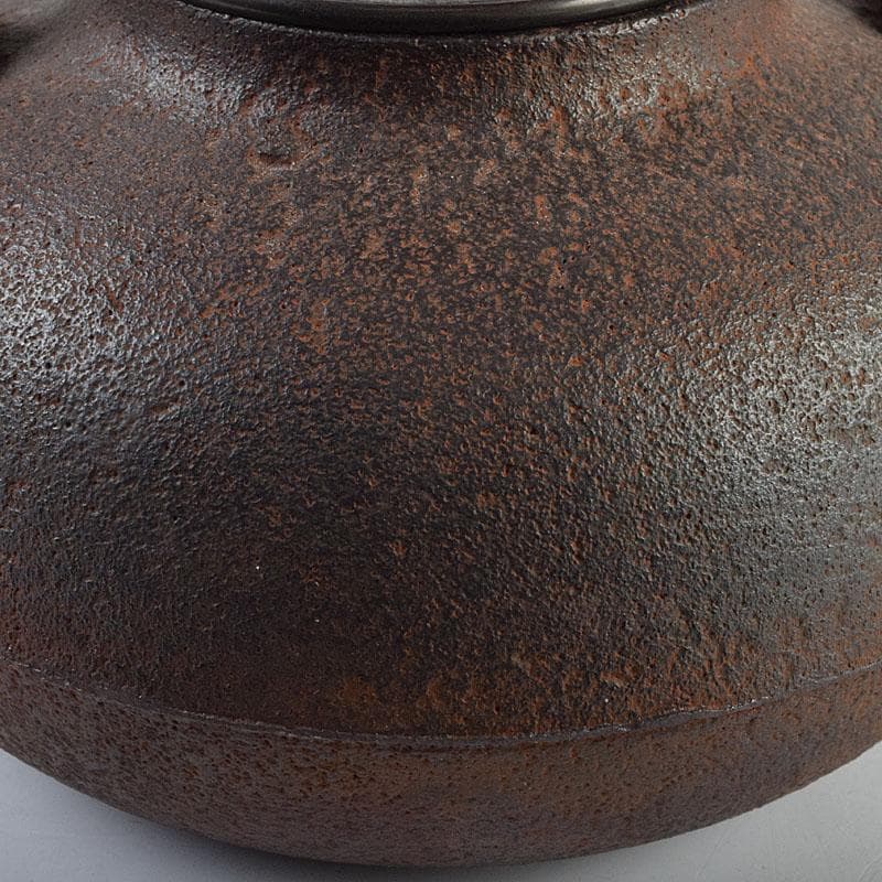 煎茶道具 釜師 菊池政光作 鉄瓶 共箱 D R9449H - メルカリ