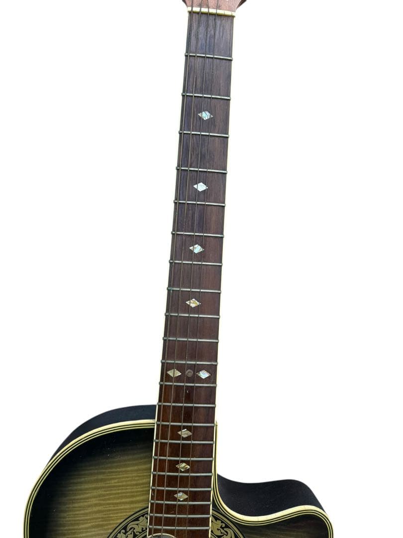 プロマーティン エレアコ Pro Martin EA350BLS プロマーティン