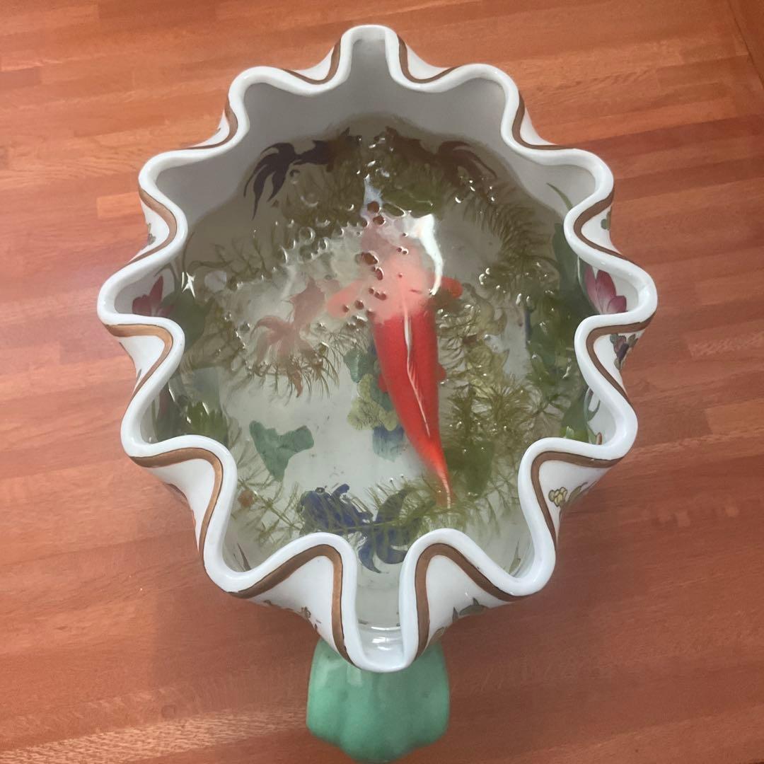 花と果物の装飾 陶器の水鉢、手描き、シノワズリ