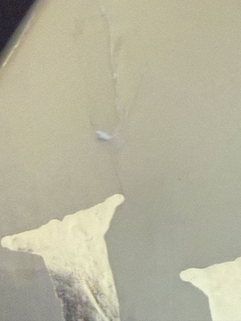 未開封 Living dead dolls シリーズ5 セットVincent 他