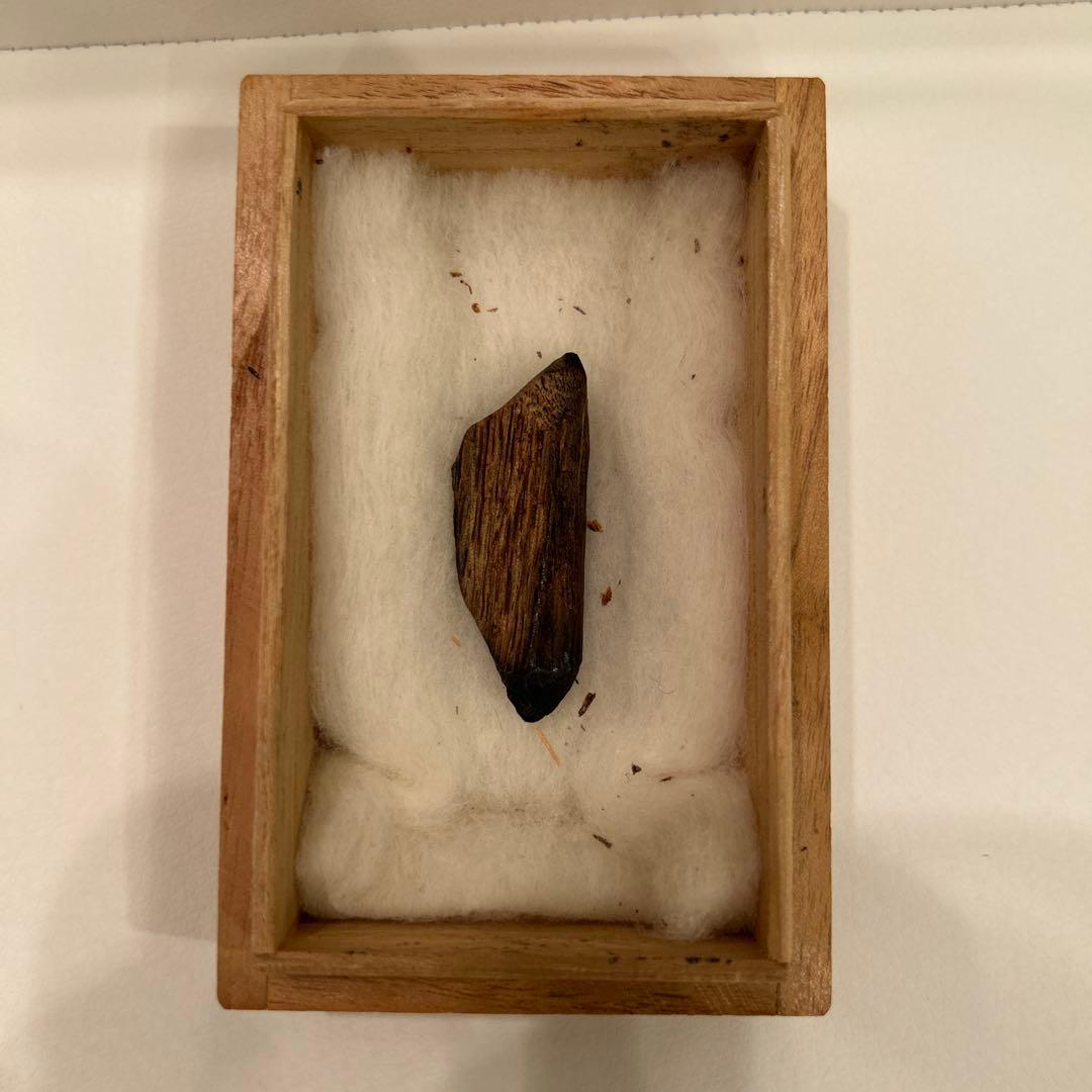 【希少】香木　伽羅香 楽天市場】【伽羅】【長寸】伽羅富嶽〔きゃらふがく〕 塗箱長寸1把入