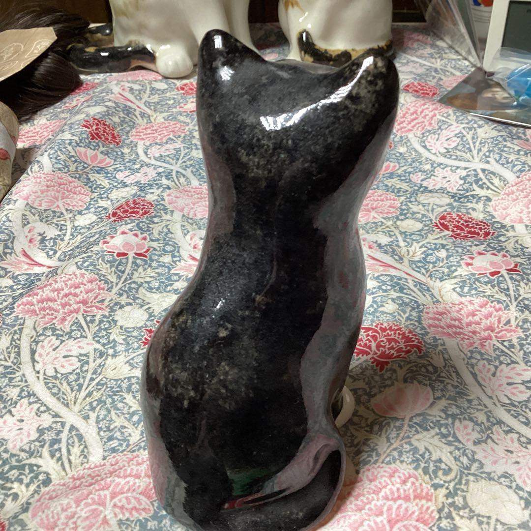 ウィンスタンレイキャット、ケンジントンキャット、お茶目なサイズ1、黒白の貴重な子