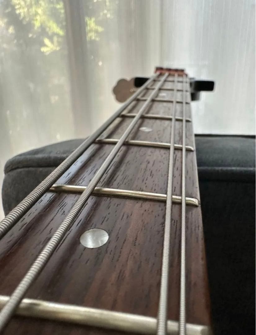 サンダーバード ベース ハードケース付き