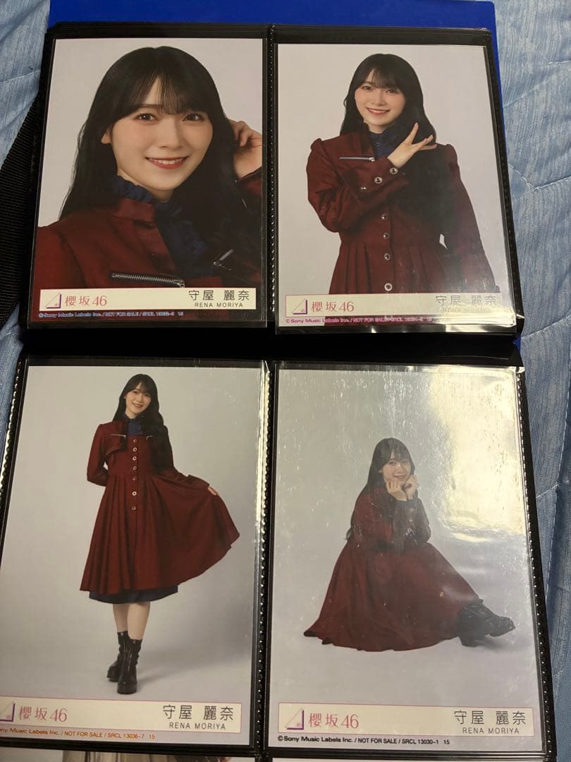 櫻坂46 守屋麗奈 アイドル生写真 コンプセット✖️14