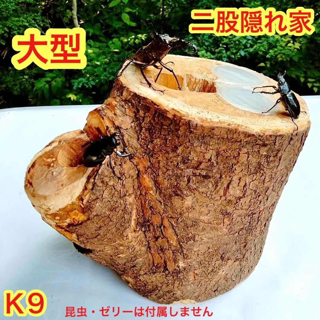 大型シェルター 樹洞加工 クワガタ クワリウム 隠れ家 エサ皿 登り木