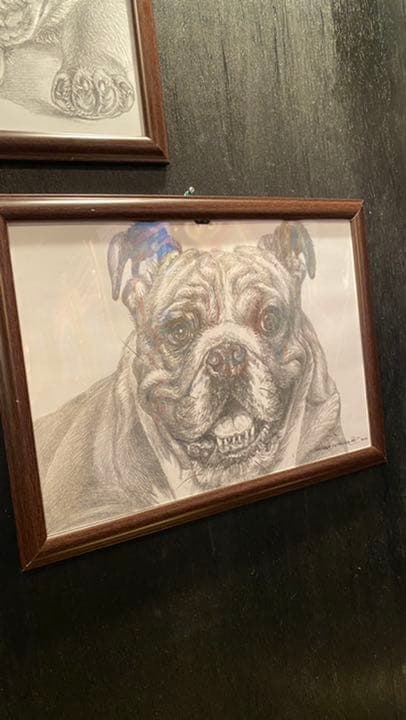 「鉛筆画アート」商品名　ブルドック　新品未使用