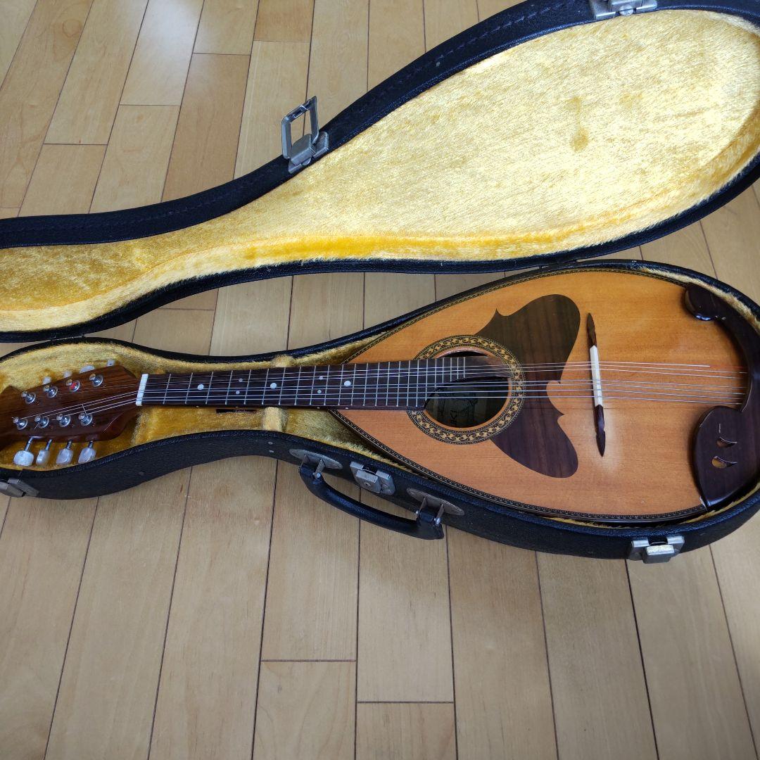 Suzuki M-218 マンドリン 本体 ハードケース付 - メルカリ