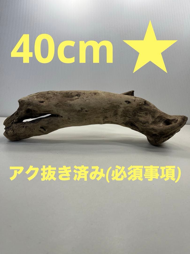 k42アク抜き済み流木 爬虫類シェルター レイアウト用 インテリア エア
