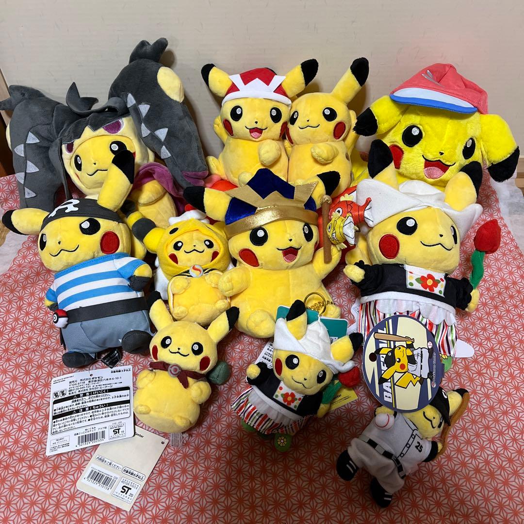 ポケモン　ピカチュウ　ぬいぐるみ ポケモンセンタートウキョーDXオープン1周年！ 記念のぬいぐるみや