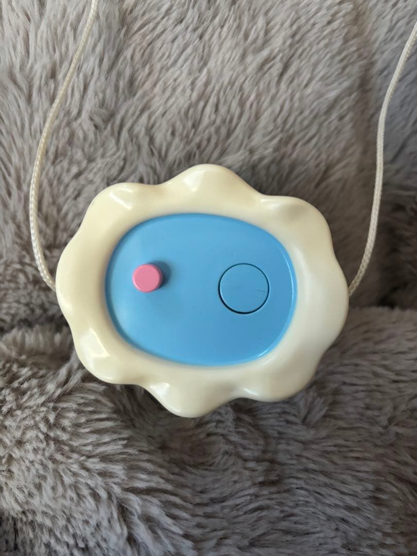 まめゴマ 飼育日記